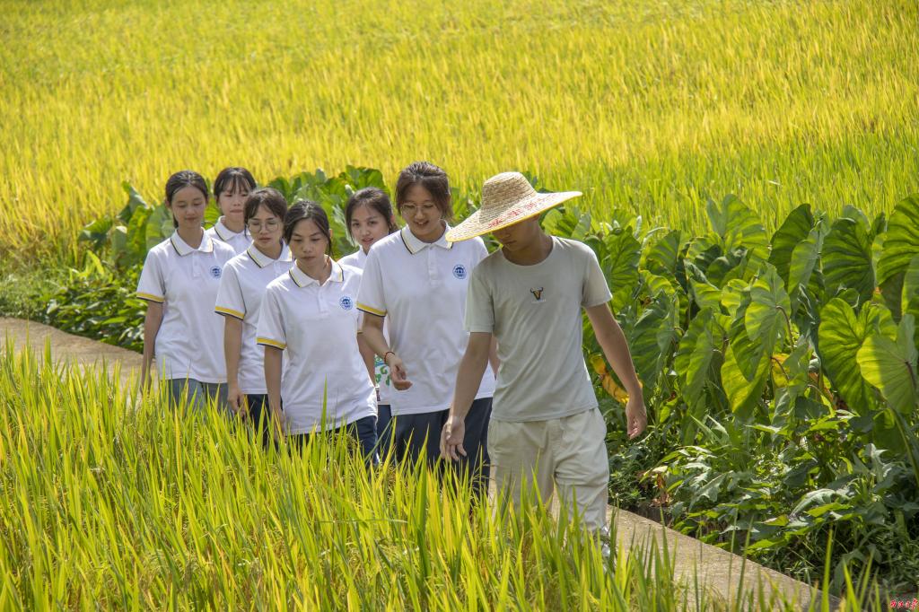 肇庆学院三下乡实践团队深入田间地头和新农人共同探寻农业产业发展之道。肇庆学院供图.jpg
